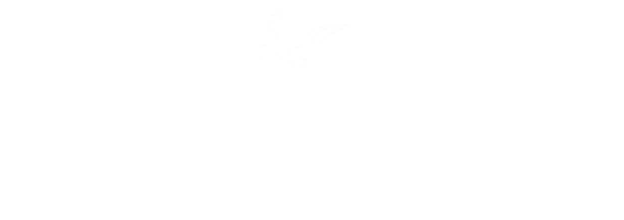 Arth Linen