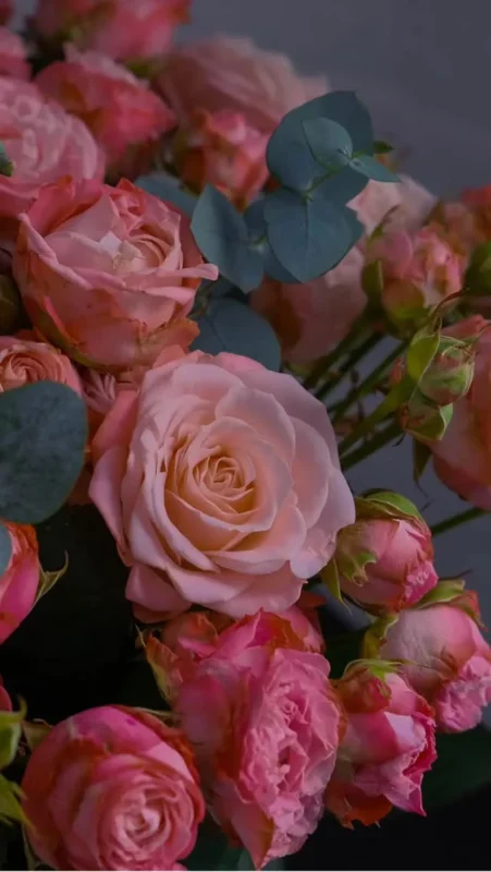 Bunch of pink roses